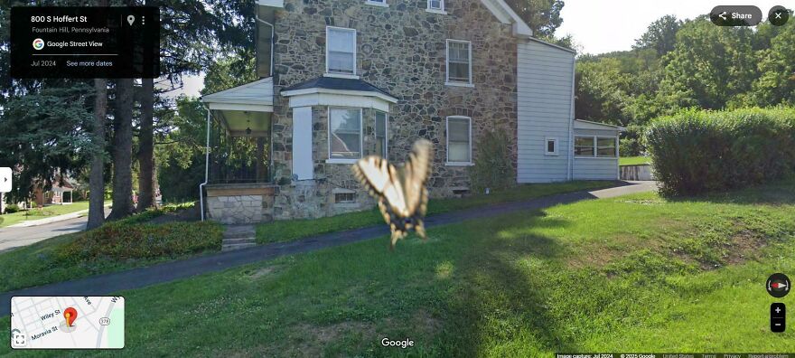 A funny Google Street View photo capturing a blurry, large butterfly flying in front of a stone house.