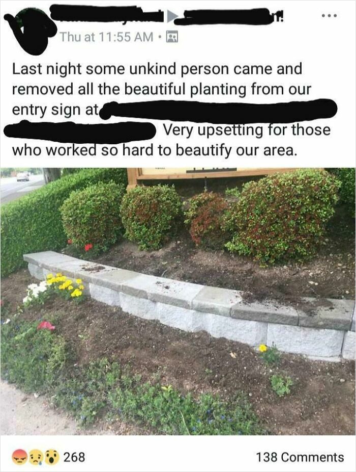An empty flower bed where plants were removed, showing a lack of basic human decency.