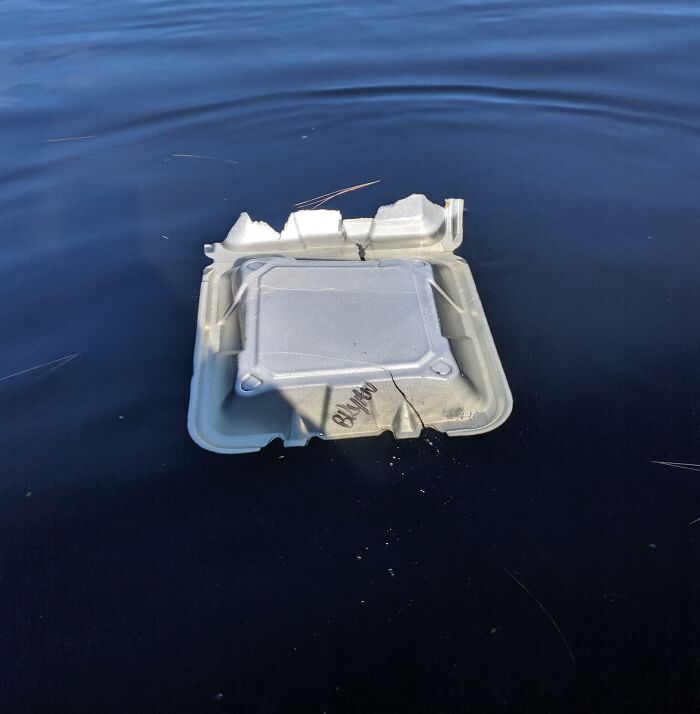 A styrofoam container floating in dark blue water, displaying a lack of basic human decency.