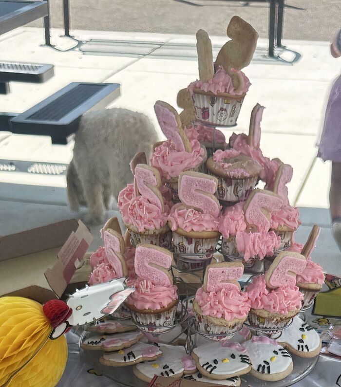 A small dog peering behind a dessert stand, showcasing human decency in pet care.