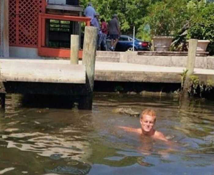 A man swimming calmly in murky water with a hidden alligator lurking close behind him, a thrilling when you see it picture.