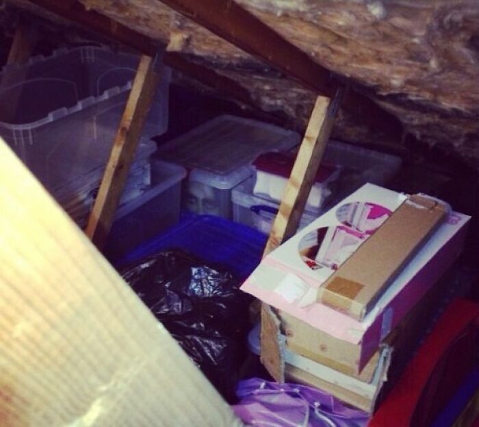 A cluttered attic space with storage boxes, revealing a pair of eyes peeking out, a creepy When You See It picture.