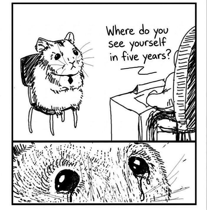 A hamster crying during a job interview, highlighting the baffling posts about work and recruiting hell.