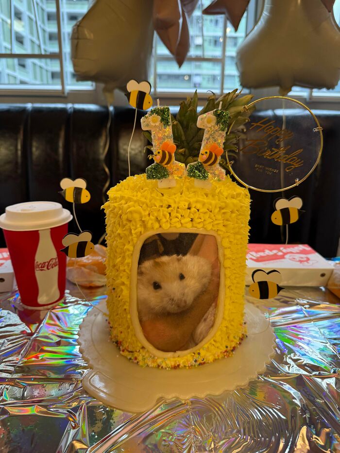 A bright yellow birthday cake featuring a hamster picture, candles, and bee decorations, representing bakers amazing and delicious treats.