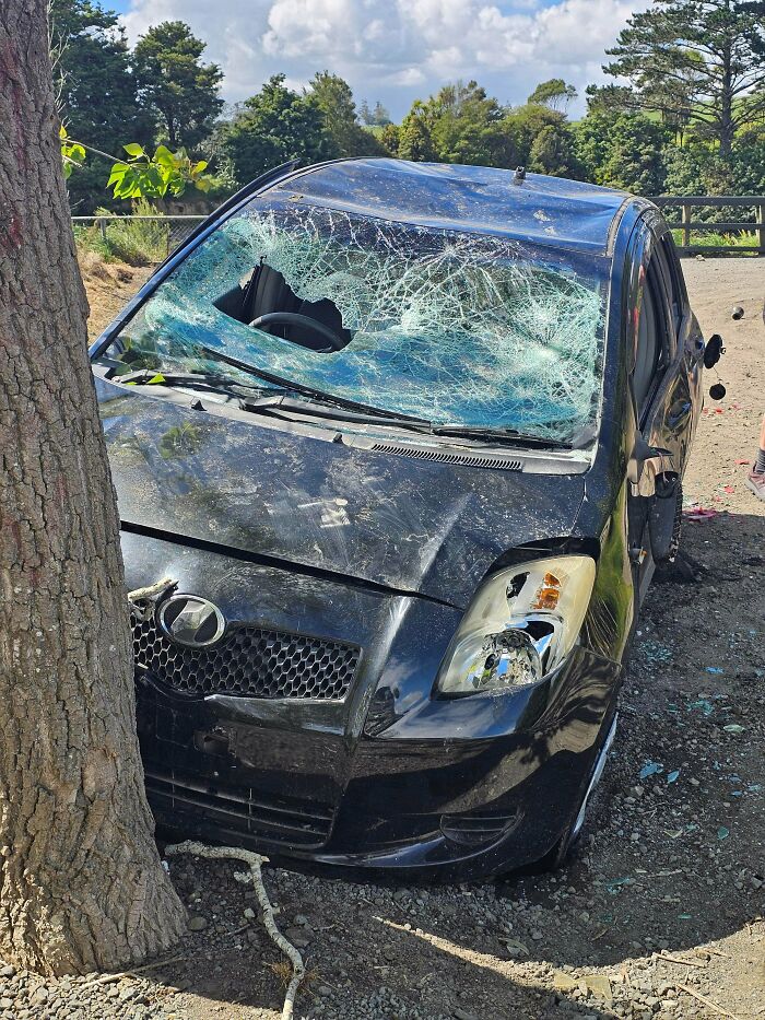 A severely damaged black car with a smashed windshield, having crashed into a tree, showing a disregard for basic human decency.