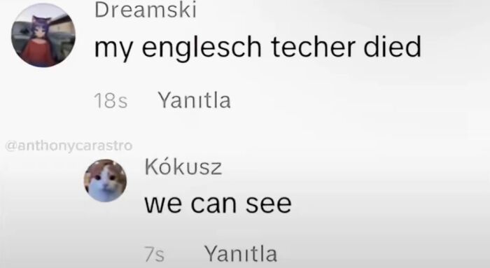 Screenshot of funny TikTok comments with a sarcastic reply to a user's misspelt tragic news.