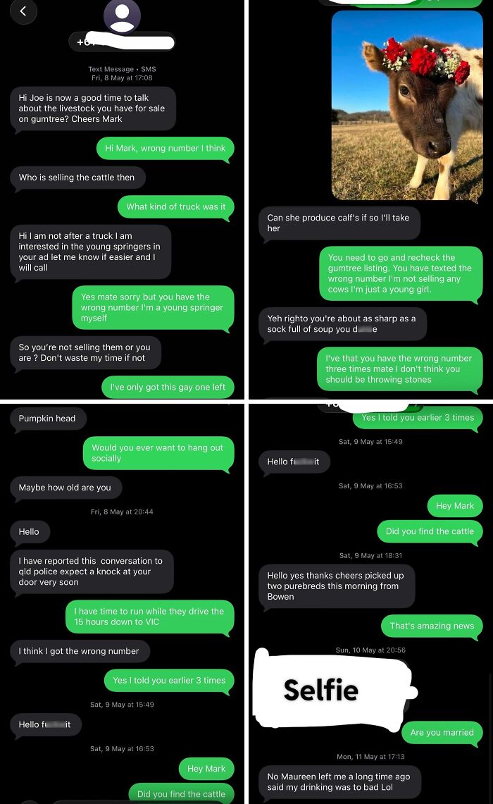 An escalating wrong number conversation regarding livestock, with multiple messages about cattle, wrong numbers, and even a selfie.