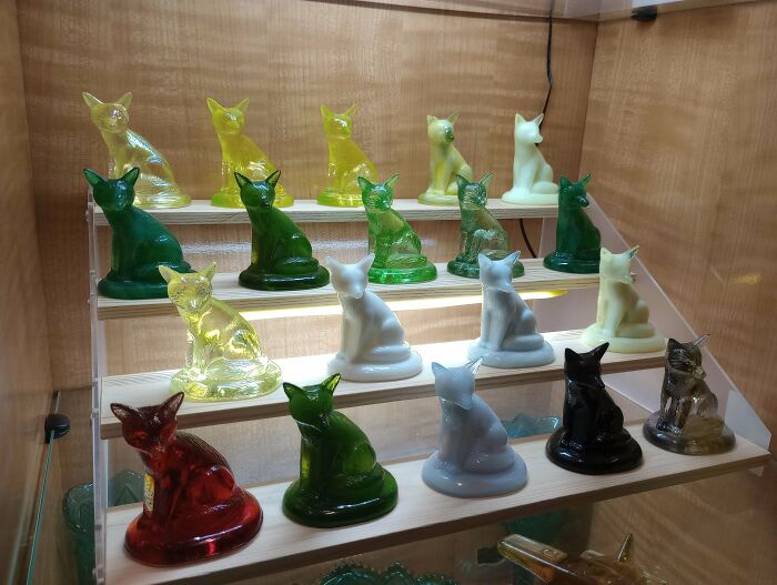 A fascinating collection of colorful glass cat figurines displayed on tiered shelves, highlighting an unexpected hobby.