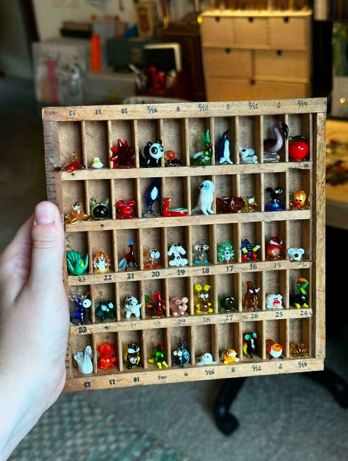 A hand holding a wooden display case filled with a fascinating collection of miniature glass animals.