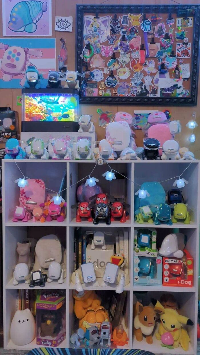 Shelves with robot dogs and plush toys, an example of fascinating collections.