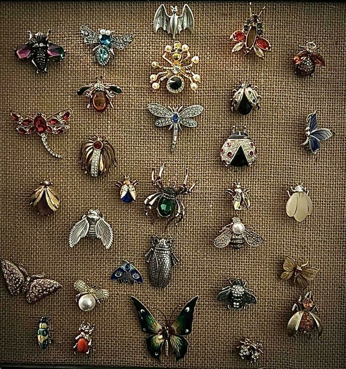 A fascinating collection of various bug-shaped brooches and pins arranged on a burlap background.