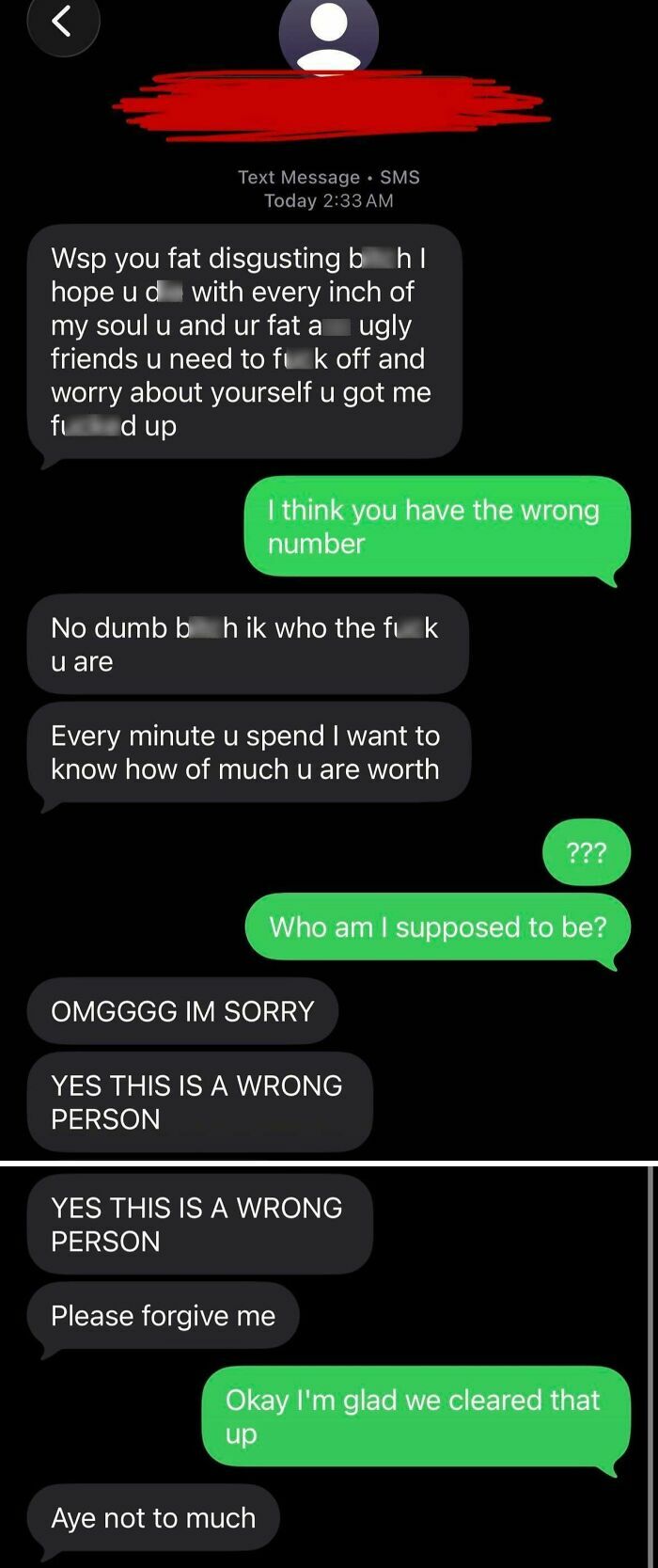 A screenshot of a text message conversation where the sender sent wrong number texts that escalated into an unhinged conversation.