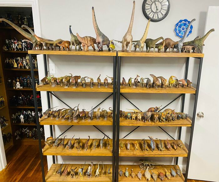 A room features multiple shelves filled with an impressive collection of detailed dinosaur figurines.