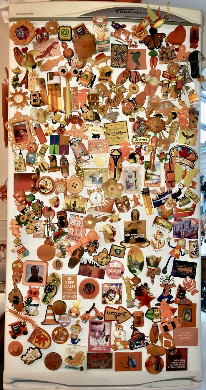 A fascinating collection of orange magnets and items adorning a white refrigerator, showcasing unique collections.