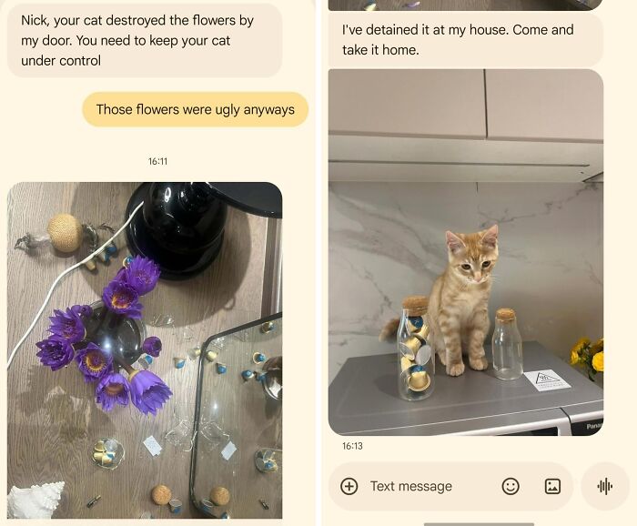A humorous wrong number text exchange between neighbors about a cat destroying flowers and being detained.