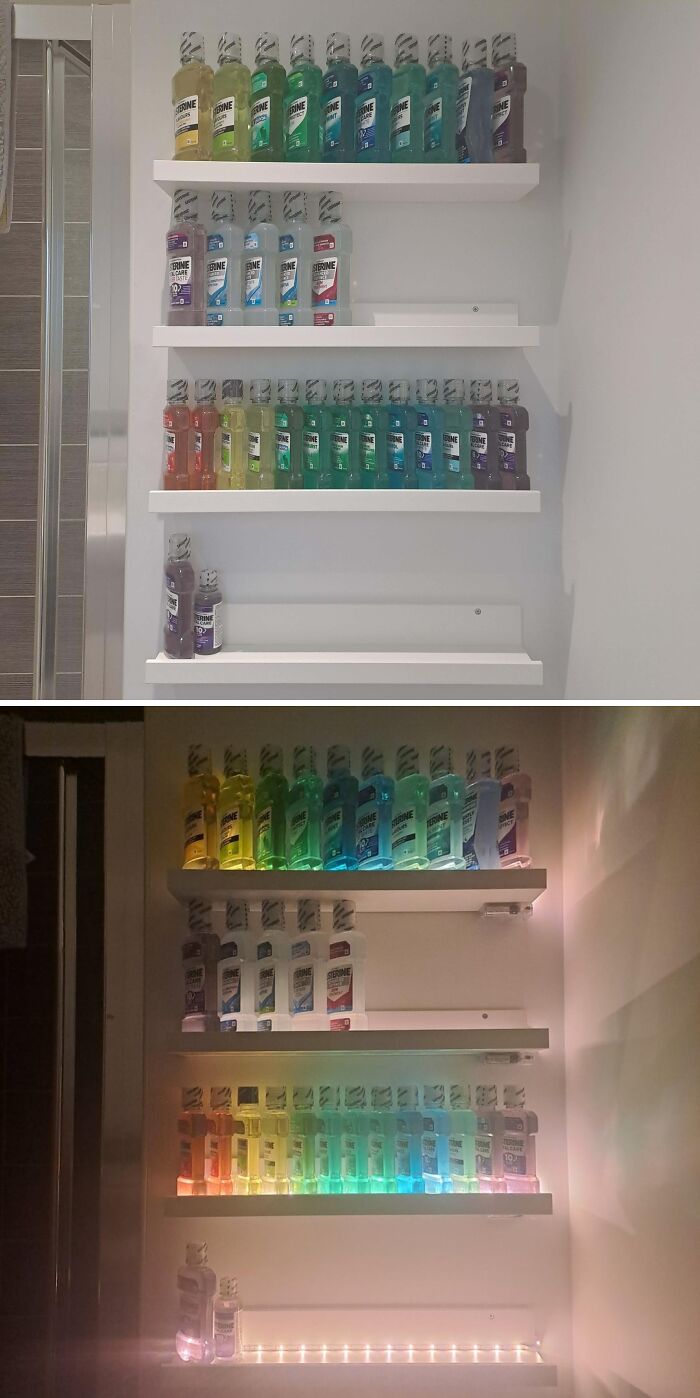 An unexpected collection of colorful Listerine mouthwash bottles, arranged by color on shelves.