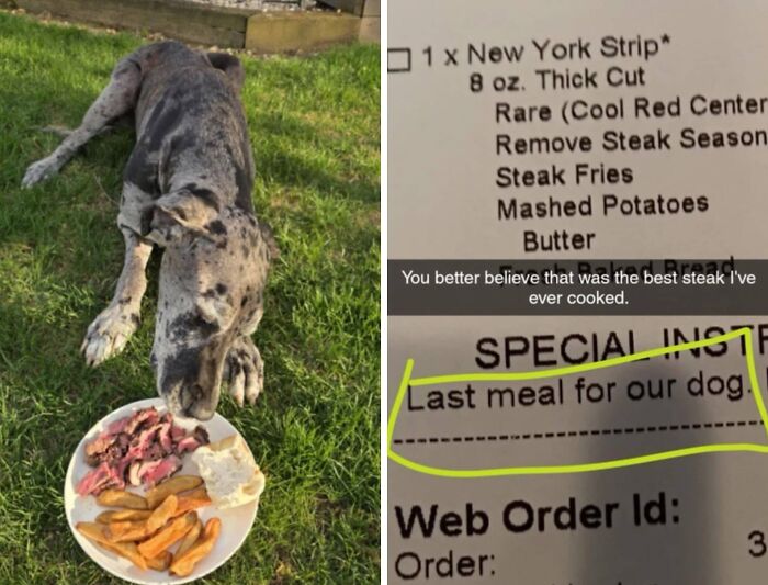 A Guy Ordered His Dog's Last Meal From Texas Roadhouse And Was Blown Away By How They Responded