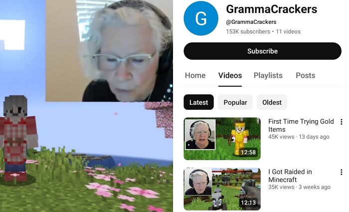 81-Year-Old Grandma Goes Viral Playing Minecraft To Help Pay Her Grandson's Cancer Bills