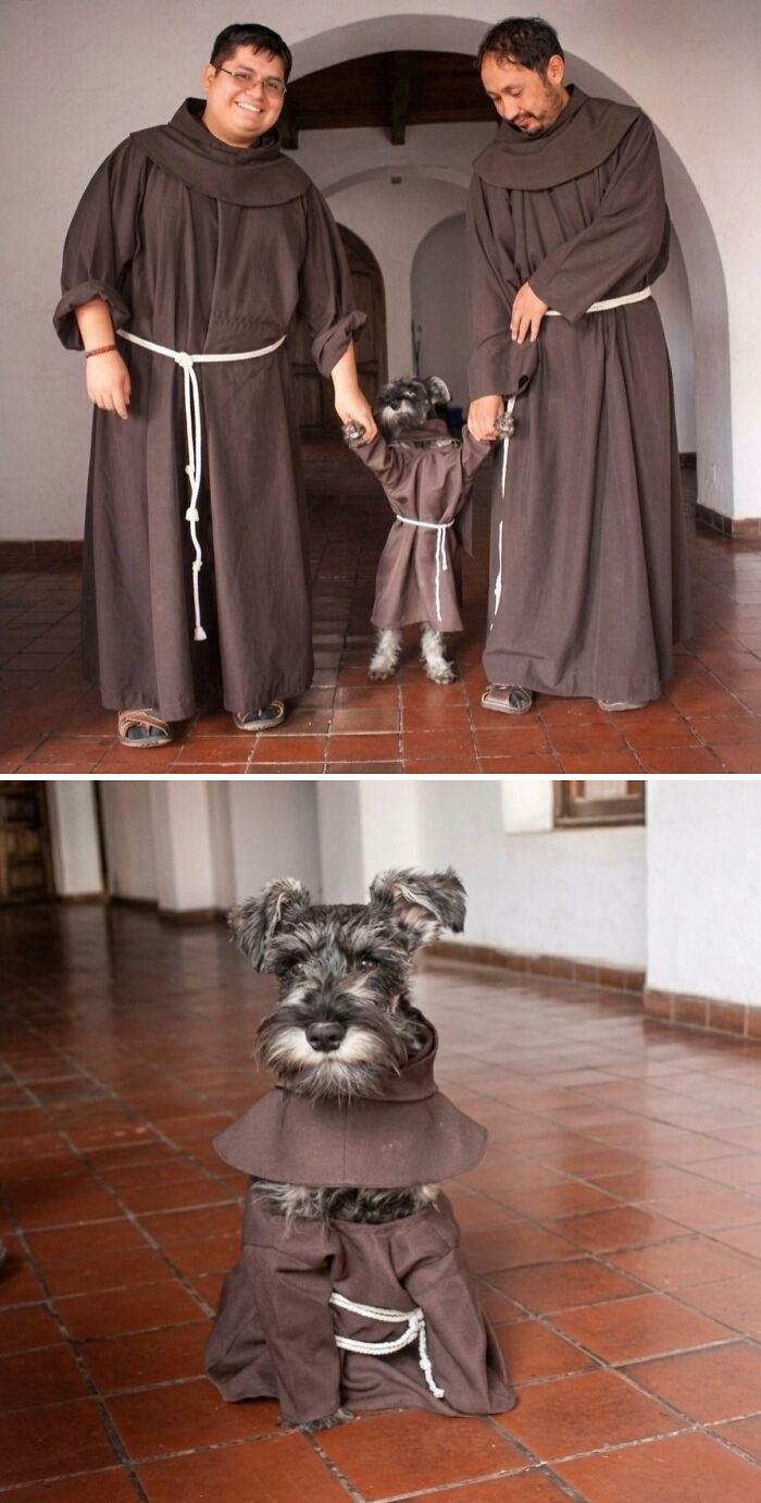 After Being Abandoned, This Group Of Monks Now Named "Brother Whiskers"