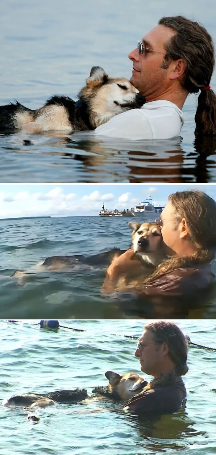 During His Dog's Last Days, This Man Would Hold His Dog In The Water So He Could Sleep Without The Pain From Arthritis