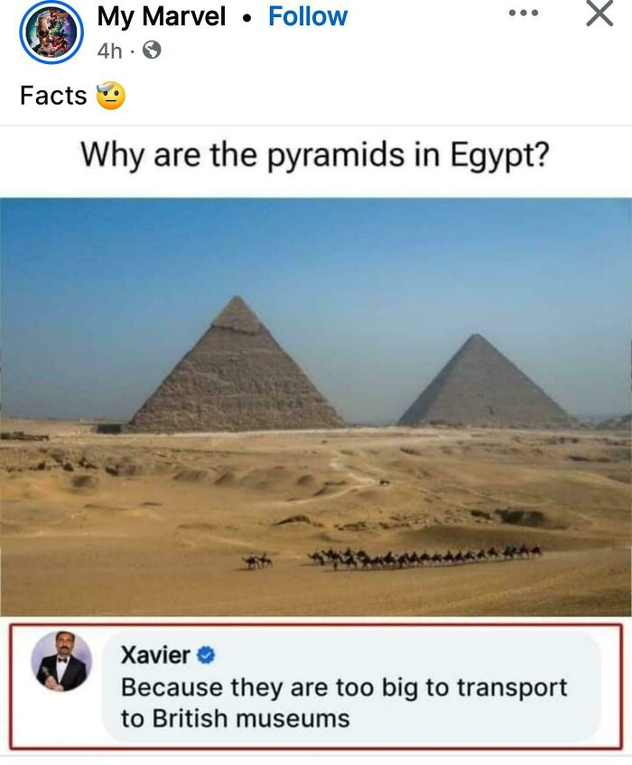 Xavier's savage response on pyramids in Egypt, with camels walking in the desert.