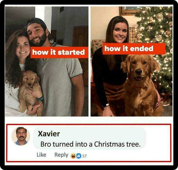 Xavier gives a savage response to a couple's progression from puppy to dog, losing the man.