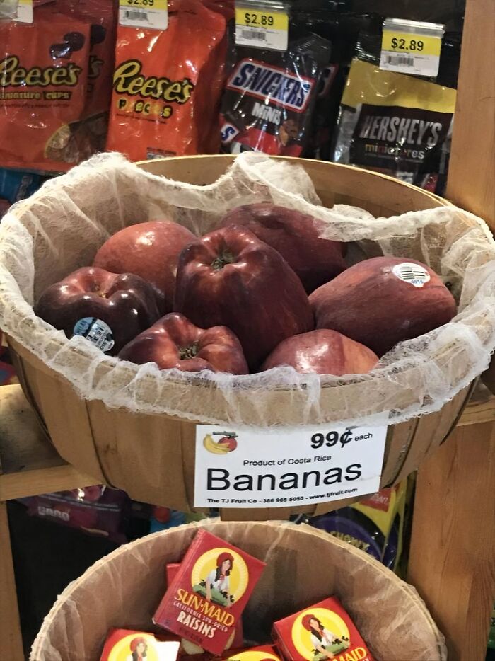 A basket full of apples mislabeled as Bananas for 99 cents, a funny common sense fail.