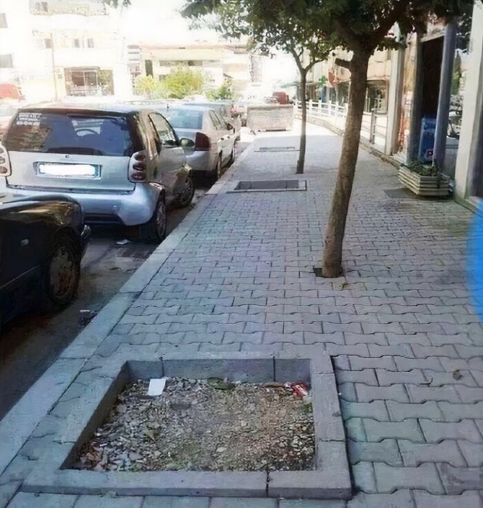 A narrow sidewalk with cutouts for trees, one of which is empty, showing a You Had One Job fail in urban planning.