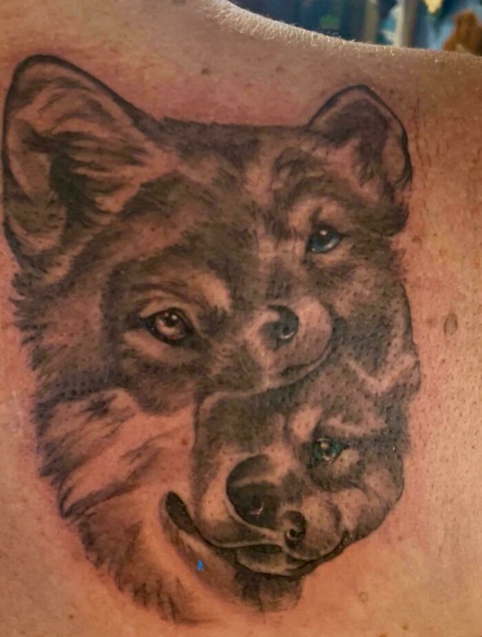 A tattoo artist's talent is wasted on a questionable tattoo idea of two wolf heads merged together on a person's back.