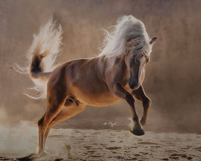 A majestic horse with a flowing white mane and tail, capturing its strength and grace in motion.
