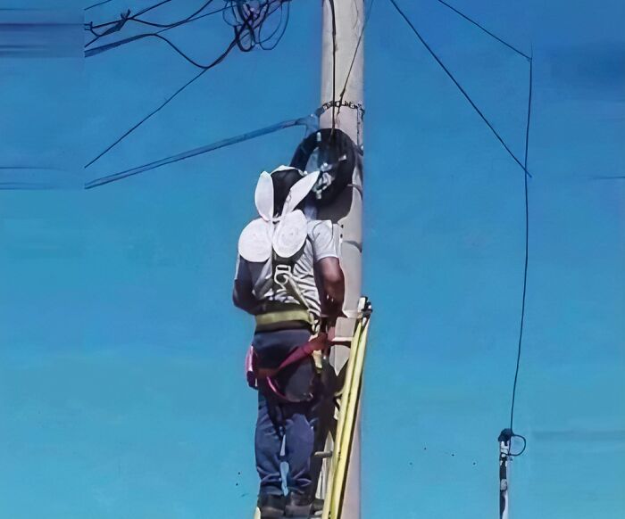 A person with bunny ears climbing a ladder to fix electrical wiring, a soul-healing post.