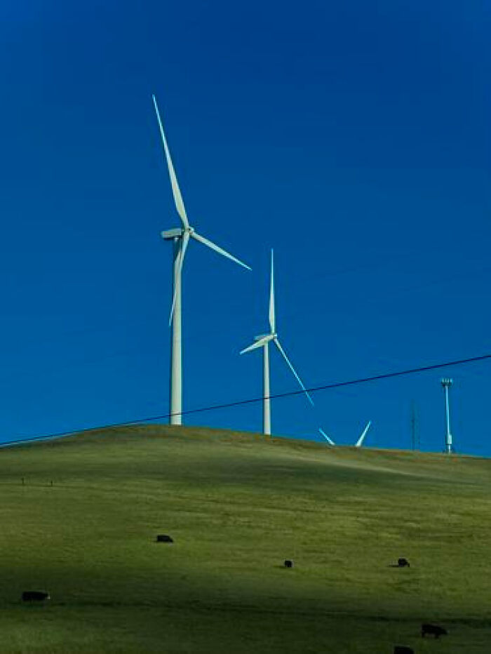 Wind turbines on a green hill under a clear blue sky, a striking liminal space.