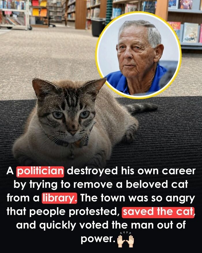 26 Animal Stories So Wholesome, They Might Just Be The Best Thing You See Today