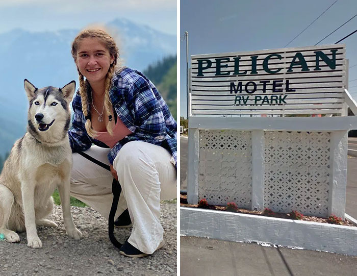 A woman with a husky dog and a motel sign, showing real-life bizarre accidents.