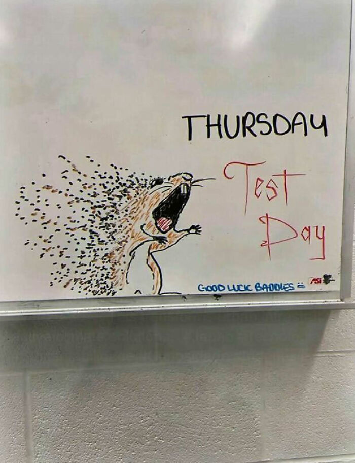 A chaotic and unhinged pic of a whiteboard with a drawing of a screaming animal disintegrating, with the text THURSDAY Test Day.