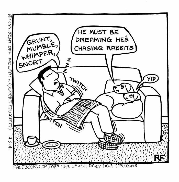33 New “Off The Leash” Comics Perfectly Capture What Dogs Are Really Thinking