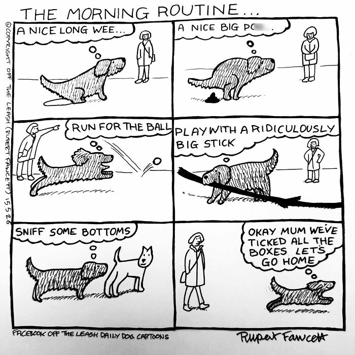 33 New “Off The Leash” Comics Perfectly Capture What Dogs Are Really Thinking