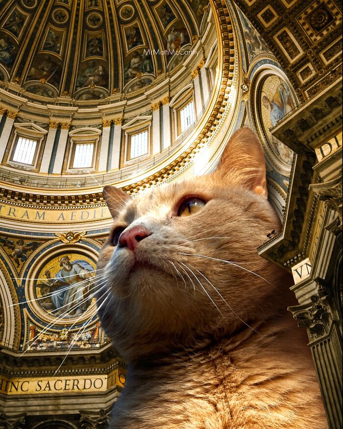 This Artist Imagines A World Where Giant Cats Rule Everything, And Here Are His 30 Newest Surreal Creations