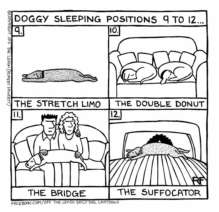 33 New “Off The Leash” Comics Perfectly Capture What Dogs Are Really Thinking