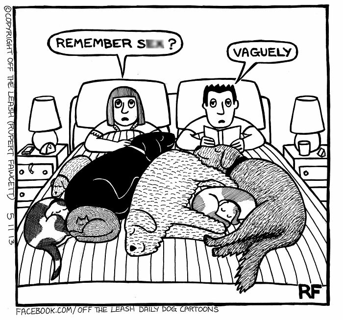 33 New “Off The Leash” Comics Perfectly Capture What Dogs Are Really Thinking