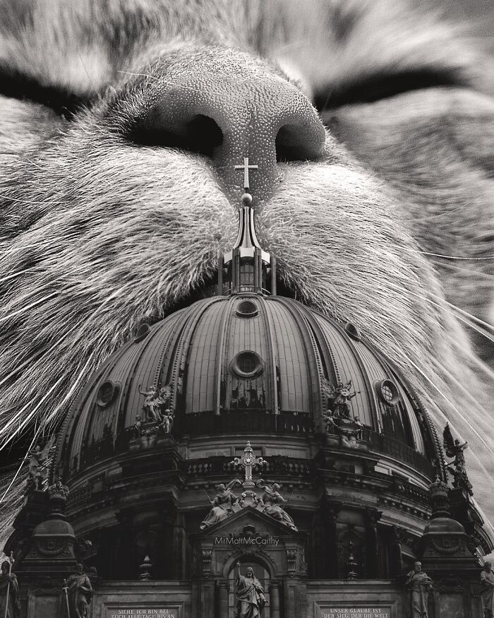 This Artist Imagines A World Where Giant Cats Rule Everything, And Here Are His 30 Newest Surreal Creations