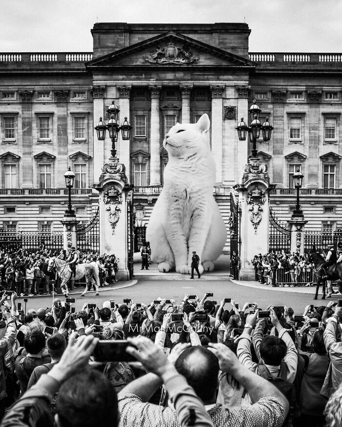This Artist Imagines A World Where Giant Cats Rule Everything, And Here Are His 30 Newest Surreal Creations