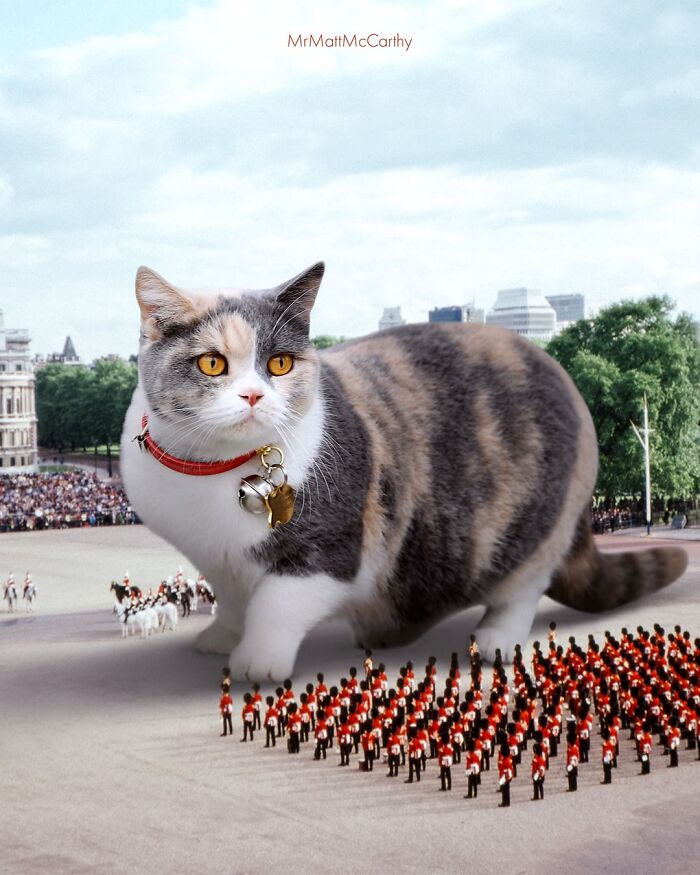 This Artist Imagines A World Where Giant Cats Rule Everything, And Here Are His 30 Newest Surreal Creations