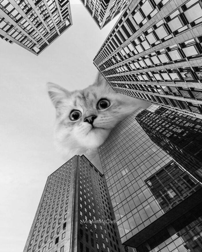This Artist Imagines A World Where Giant Cats Rule Everything, And Here Are His 30 Newest Surreal Creations