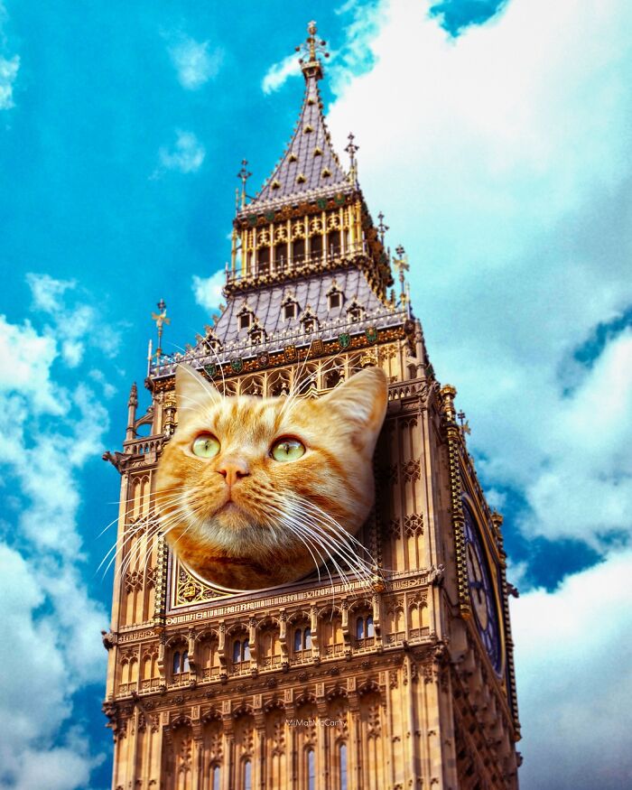 This Artist Imagines A World Where Giant Cats Rule Everything, And Here Are His 30 Newest Surreal Creations