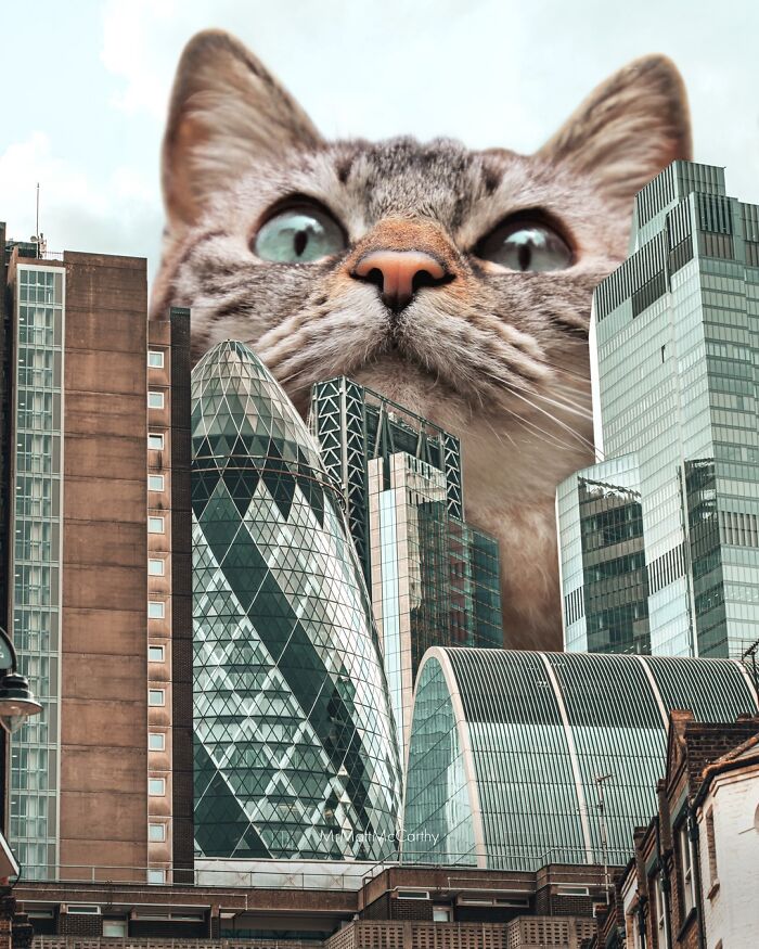 This Artist Imagines A World Where Giant Cats Rule Everything, And Here Are His 30 Newest Surreal Creations