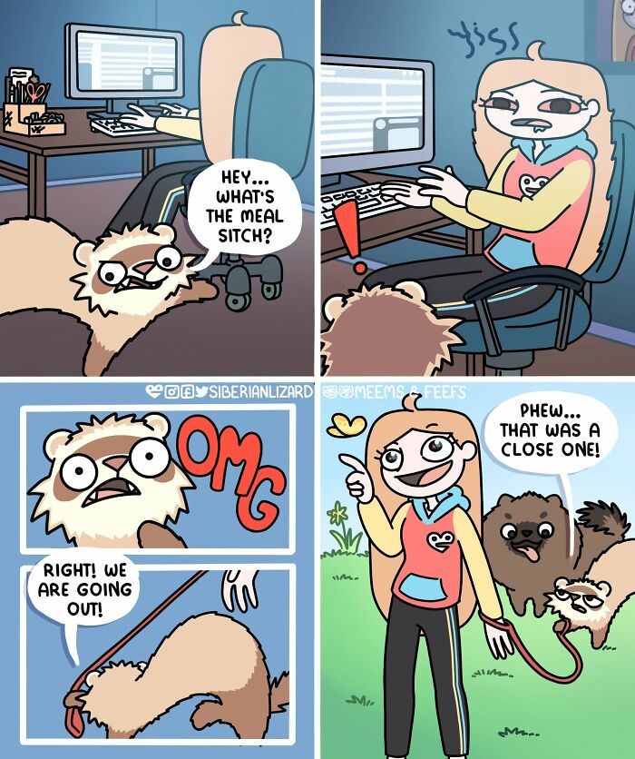 A Siberian girl and her two ferrets illustrate funny situations, from avoiding a computer to going for a walk.