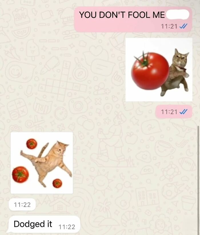 Text conversation with cat dodging flying tomatoes meme