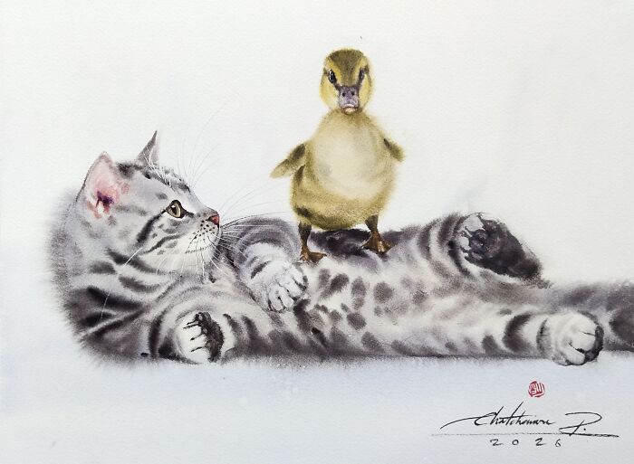 Cat Paintings