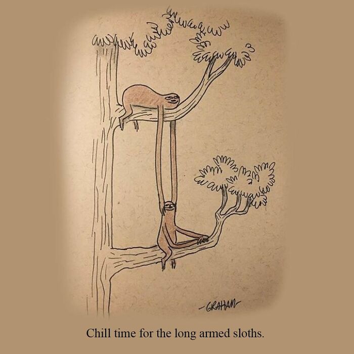 Long armed sloths relaxing on tree branch comic